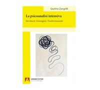 La psicoanalisi intensiva. Involucri, immagini, trasformazioni