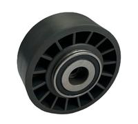 La puleggia folle del generatore 1032000570 è adatta al motore OM603