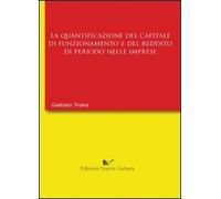 La quantificazione del capitale di funzionamento e del reddito di periodo nell'impresa