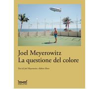 La questione del colore - Meyerowitz Joel, Shore Robert