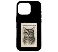 La rabbia mi sta consumando divertente sciocco che fissa il gatto meme Sumi-e Custodia per iPhone 16 Pro