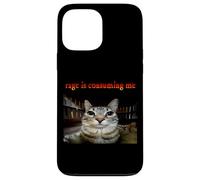 La rabbia mi sta consumando Meme del gatto fisso Custodia per iPhone 13 Pro Max