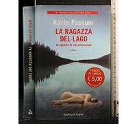 La ragazza del lago. Lo sguardo di uno sconosciuto
