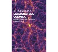 La ragnatela cosmica. La misteriosa architettura dell'universo - Gott J. Richard