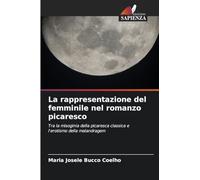 La rappresentazione del femminile nel romanzo picaresco: Tra la misoginia della picaresca classica e l'erotismo della malandragem