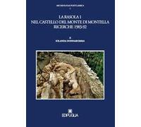 La rasola 1 nel castello del Monte di Montella. Ricerche 1983-92