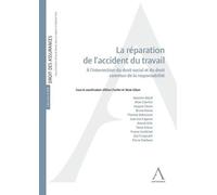 La réparation de l'accident du travail: A l'intersection du droit social et du droit commun de la responsabilité