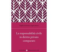 La responsabilità civile in diritto privato comparato