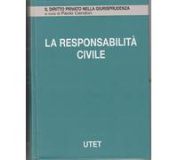 La responsabilità civile. Responsabilità extracontrattuale (Vol. 12)