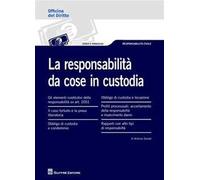 La responsabilità da cose in custodia