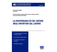 La responsabilità del datore negli infortuni sul lavoro - Cassano Giuseppe