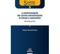 La responsabilità per cattiva manutenzione di strade e marciapiedi. Manuale pratico