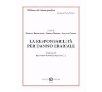 La responsabilità per danno erariale