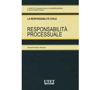 La responsabilità processuale