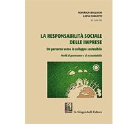La responsabilità sociale delle imprese. Un percorso verso lo sviluppo sostenibile. Profili di governance e di accountability