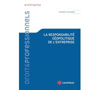 La responsabilité géopolitique de l'entreprise