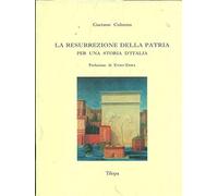La resurrezione della patria. Per una storia d'Italia
