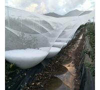 La rete dei piccioni, Rete antigrandine for piante da giardino, copertura for file di serre, barriera for letto rialzato, dimensioni multiple(7m*30m)