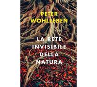 La rete invisibile della natura
