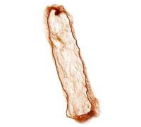 La rete per capelli invisibile in nylon da donna garantisce un look senza cuciture, adatta per eventi di lavoro e palcoscenico, rete invisibile per capelli