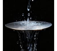 La rete secondaria di distribuzione dell'acqua in acciaio inossidabile offre una diffusione dell'acqua prevedibile per risultati ripetibili nel tempo (58 mm)