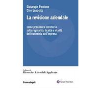 La revisione aziendale. Come procedura istruttoria sulla regolarità, liceità e vitalità dell'economia dell'impresa