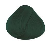 La rich'e Directions Colore crema Alpine Green 100 ml