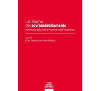 La riforma del sovraindebitamento nel codice della crisi d'impresa e dell'insolvenza