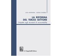 La riforma del terzo settore. L'impatto sugli strumenti di accountability ...