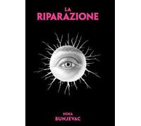 La riparazione. Ediz. illustrata