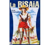 La risaia