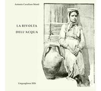 LA RIVOLTA DELL'ACQUA