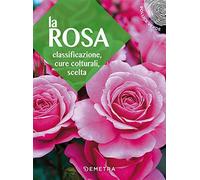 La rosa. Classificazione, cure colturali, scelta