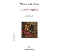 La rosa segreta