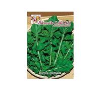 La Rosa semi orto di Rucola Coltivata (1 confezione)