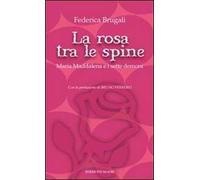 La rosa tra le spine. Maria Maddalena e i sette demoni