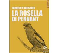 La Rosella di Pennant di Franco D’Agostino, 2017, Goware
