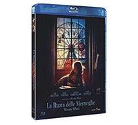 La ruota delle meraviglie (Blu-ray)