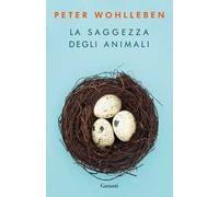 La saggezza degli animali