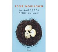 La saggezza degli animali