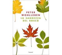 La saggezza del bosco