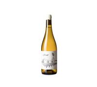 La Salada L'Ermot 2024