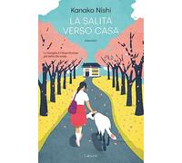 La salita verso casa