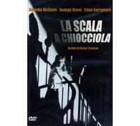 La scala a chiocciola