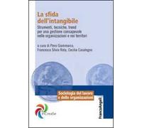 La sfida dell'intangibile. Strumenti, tecniche, trend per una gestione consapevole nelle organizzazioni e nei territori