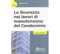 La sicurezza nei lavori di manutenzione del condominio. Guida rapida