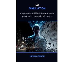 LA SIMULATION: Ce que deux milliardaires ont voulu prouver - et ce que j'ai découvert