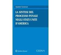 La sintesi del processo penale negli Stati Uniti d'America