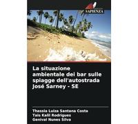 La situazione ambientale dei bar sulle spiagge dell'autostrada José Sarney - SE