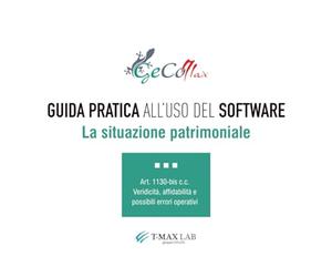 La situazione patrimoniale: Guida all'uso del software GeCoMAX